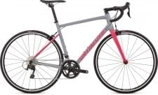 Silniční kolo Specialized ALLEZ ELITE 2019 COOL GRAY/HOT PINK Silniční kolo Specialized ALLEZ ELITE 2019 COOL GRAY/HOT PINK