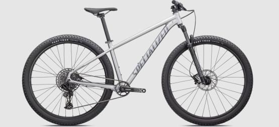 Horsk kolo Specialized Rockhopper Expert 2022 SATIN SILVER DUST / BLACK HOLOGRAPHIC FOIL