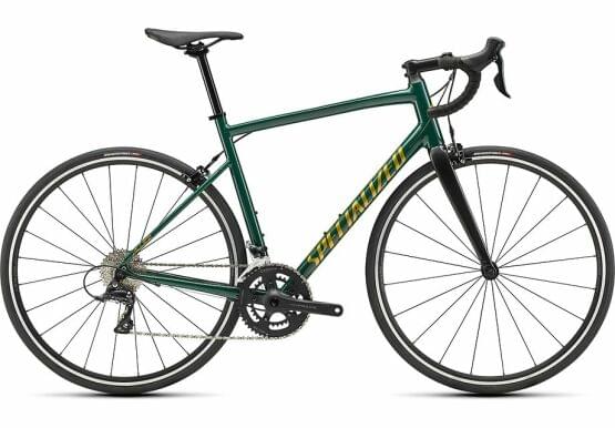 Silnin kolo Specialized Allez Sport 2022 Gloss Pine Green/Metallic Gold/Carbon