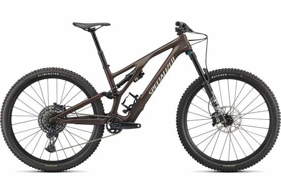 Horsk kolo Specialized Stumpjumper EVO Comp 2023 SATIN DOPPIO / SAND